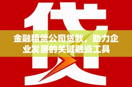 天峨金融租赁公司贷款，助力企业发展的关键融资工具