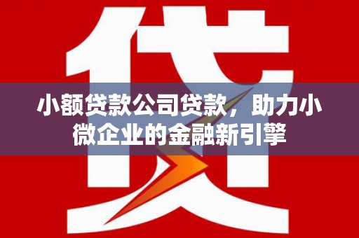 天峨小额贷款公司贷款，助力小微企业的金融新引擎