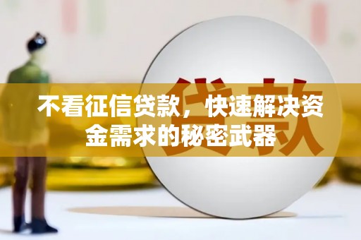 天峨不看征信贷款，快速解决资金需求的秘密武器