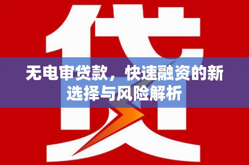 天峨无电审贷款，快速融资的新选择与风险解析