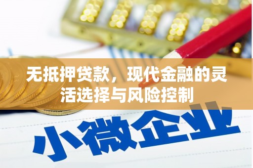 天峨无抵押贷款，现代金融的灵活选择与风险控制