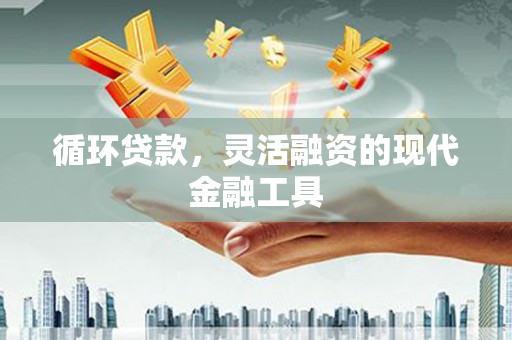 天峨循环贷款，灵活融资的现代金融工具