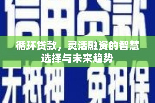 天峨循环贷款，灵活融资的智慧选择与未来趋势