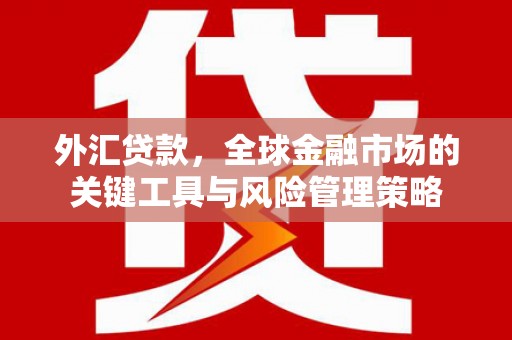天峨外汇贷款，全球金融市场的关键工具与风险管理策略