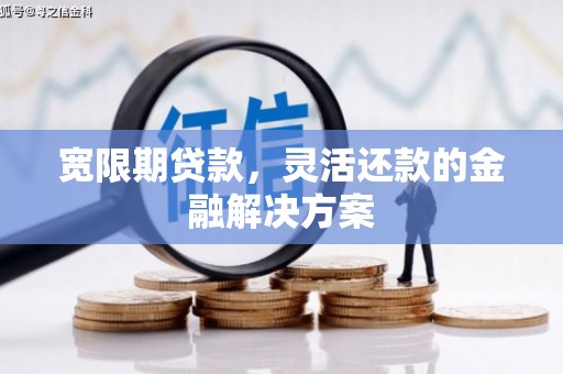 天峨宽限期贷款，灵活还款的金融解决方案