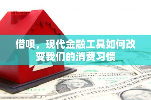 天峨借呗，现代金融工具如何改变我们的消费习惯