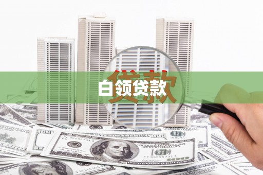 天峨白领贷款
