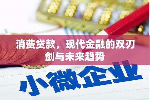 天峨消费贷款，现代金融的双刃剑与未来趋势