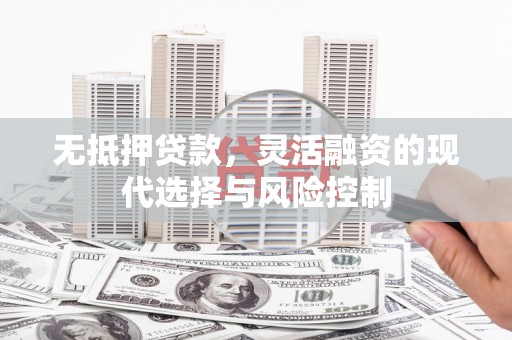天峨无抵押贷款，灵活融资的现代选择与风险控制