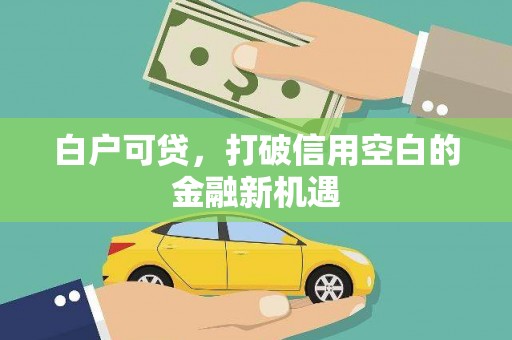 天峨白户可贷，打破信用空白的金融新机遇
