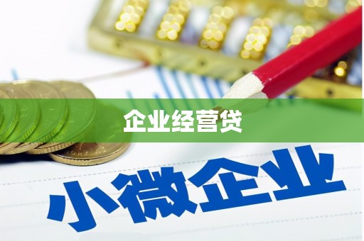天峨企业经营贷