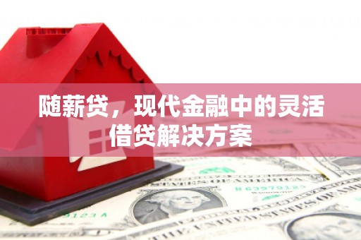 天峨随薪贷，现代金融中的灵活借贷解决方案