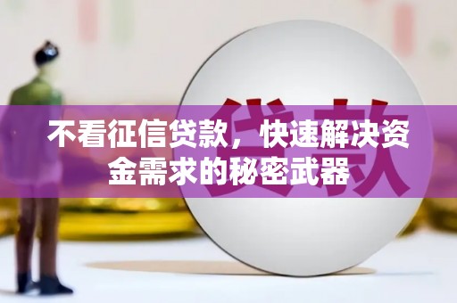 天峨不看征信贷款，快速解决资金需求的秘密武器