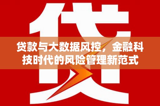 天峨贷款与大数据风控，金融科技时代的风险管理新范式