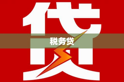 天峨税务贷
