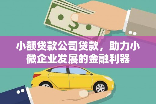 天峨小额贷款公司贷款，助力小微企业发展的金融利器