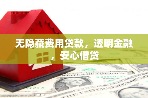 天峨无隐藏费用贷款，透明金融，安心借贷