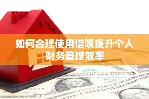 天峨如何合理使用借呗提升个人财务管理效率