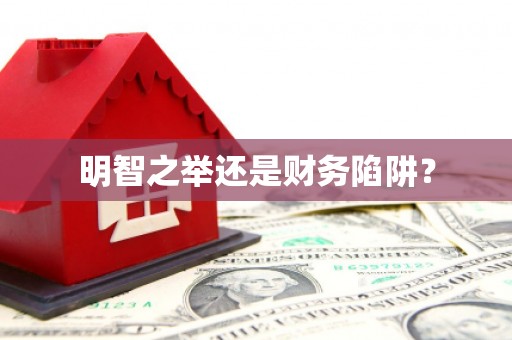 天峨明智之举还是财务陷阱？