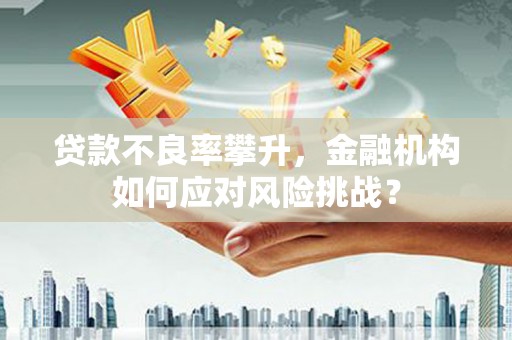 天峨贷款不良率攀升，金融机构如何应对风险挑战？