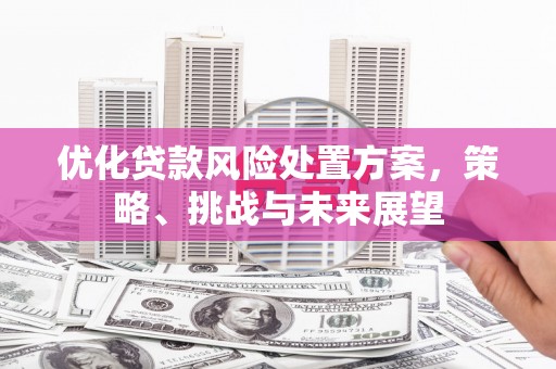 天峨优化贷款风险处置方案，策略、挑战与未来展望