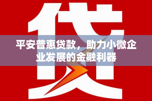 天峨平安普惠贷款，助力小微企业发展的金融利器