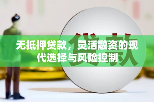天峨无抵押贷款，灵活融资的现代选择与风险控制