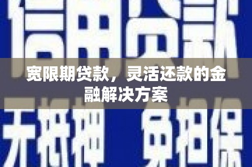 天峨宽限期贷款，灵活还款的金融解决方案