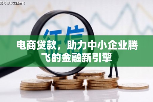 天峨电商贷款，助力中小企业腾飞的金融新引擎