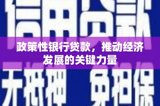 天峨政策性银行贷款，推动经济发展的关键力量