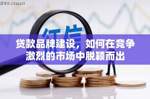 天峨贷款品牌建设，如何在竞争激烈的市场中脱颖而出