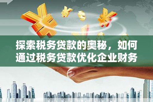 天峨探索税务贷款的奥秘，如何通过税务贷款优化企业财务