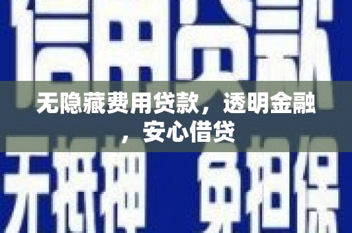 天峨无隐藏费用贷款，透明金融，安心借贷