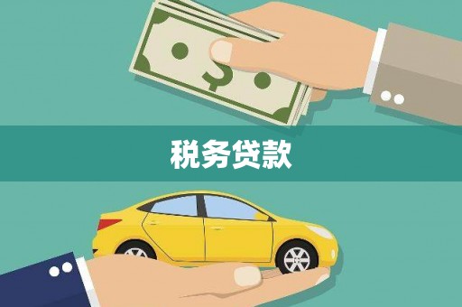 天峨税务贷款
