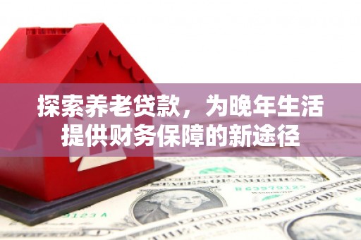 天峨探索养老贷款，为晚年生活提供财务保障的新途径
