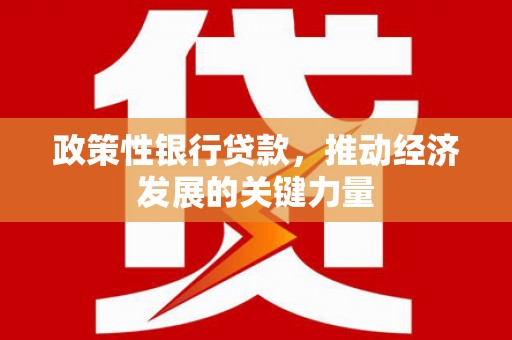 天峨政策性银行贷款，推动经济发展的关键力量