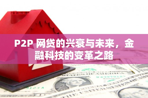 天峨P2P 网贷的兴衰与未来，金融科技的变革之路