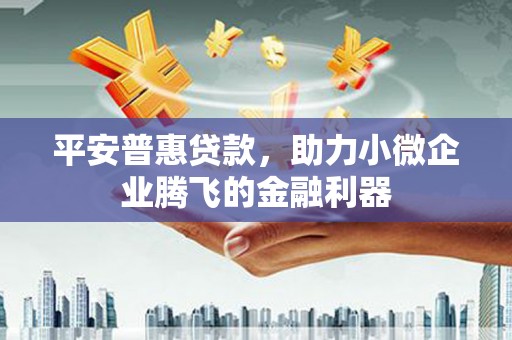天峨平安普惠贷款，助力小微企业腾飞的金融利器