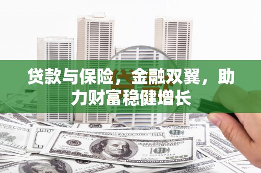 天峨贷款与保险，金融双翼，助力财富稳健增长