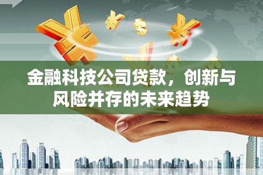 天峨金融科技公司贷款，创新与风险并存的未来趋势