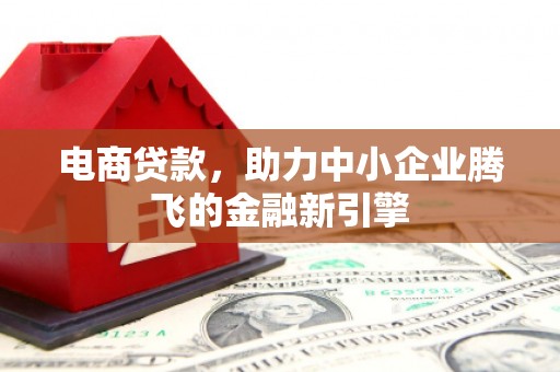 天峨电商贷款，助力中小企业腾飞的金融新引擎