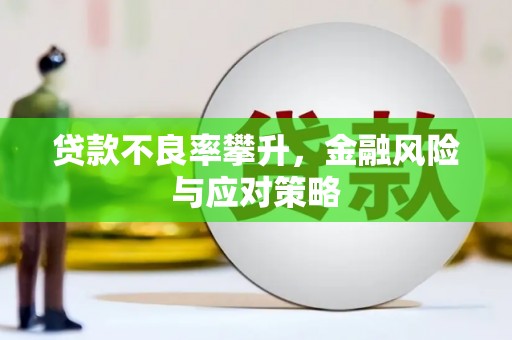天峨贷款不良率攀升，金融风险与应对策略