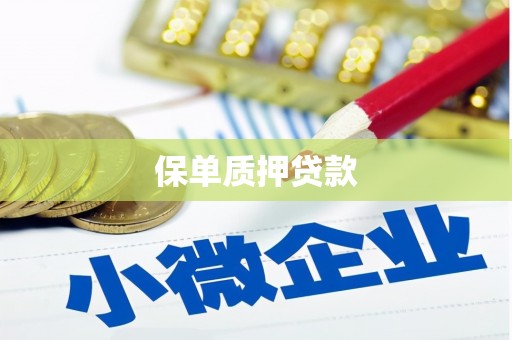天峨保单质押贷款