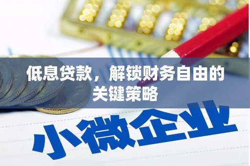 天峨低息贷款，解锁财务自由的关键策略