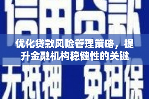 天峨优化贷款风险管理策略，提升金融机构稳健性的关键
