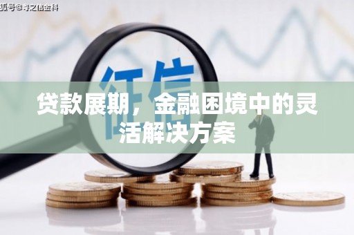 天峨贷款展期，金融困境中的灵活解决方案