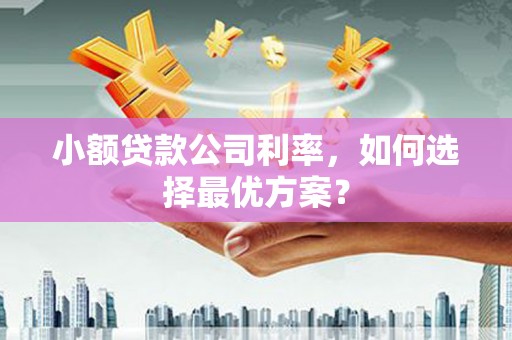 天峨小额贷款公司利率，如何选择最优方案？