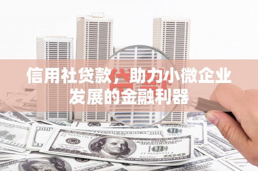 天峨信用社贷款，助力小微企业发展的金融利器