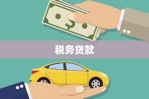 天峨税务贷款