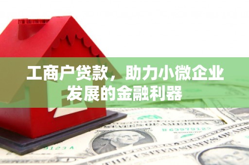 天峨工商户贷款，助力小微企业发展的金融利器